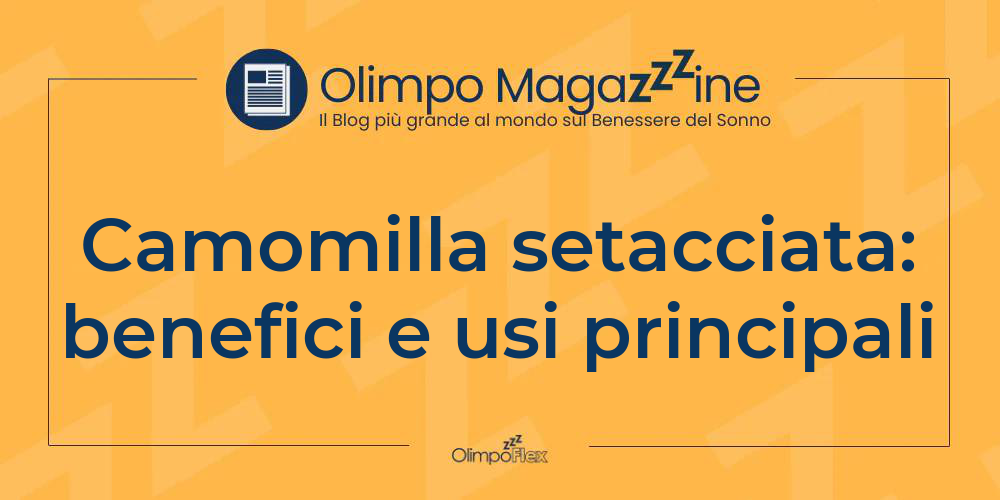 Camomilla setacciata: benefici e usi principali