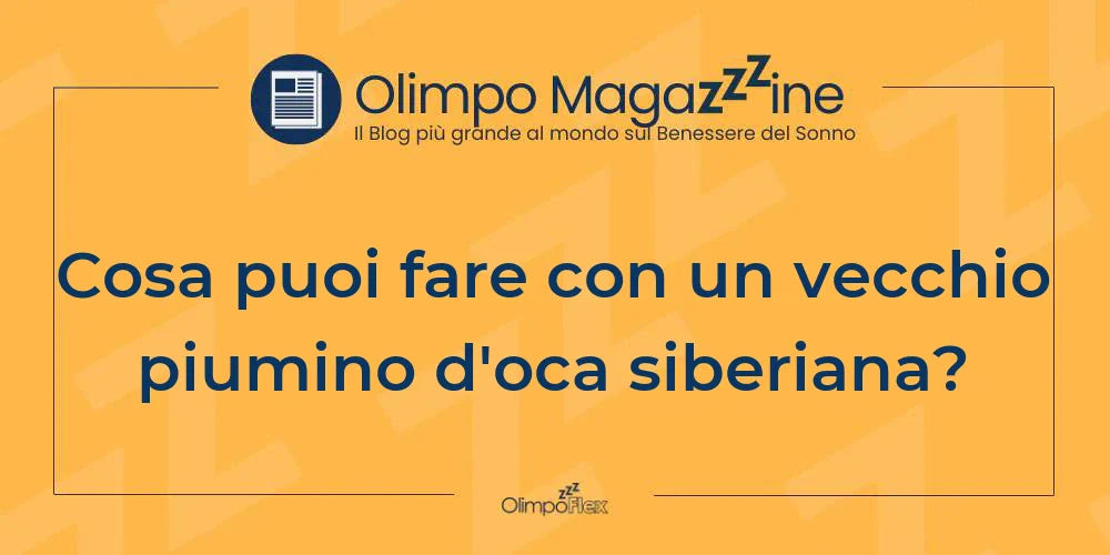 Cosa puoi fare con un vecchio piumino d'oca siberiana?