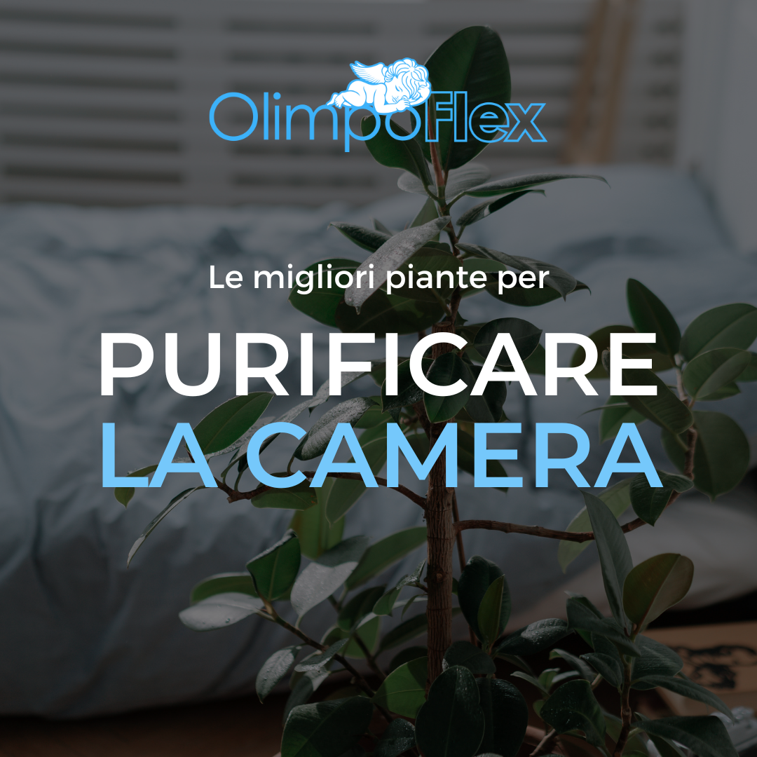 Le piante che purificano la tua camera