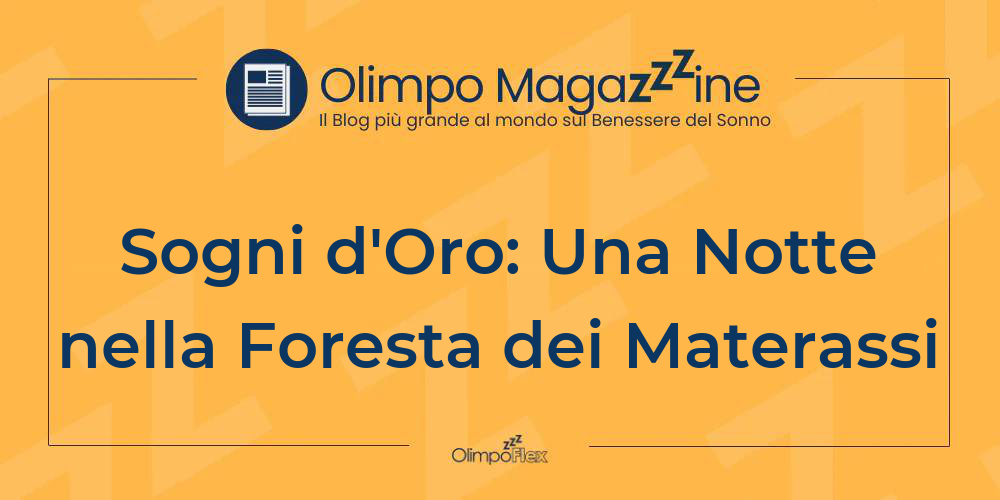 Sogni d'Oro: Una Notte nella Foresta dei Materassi